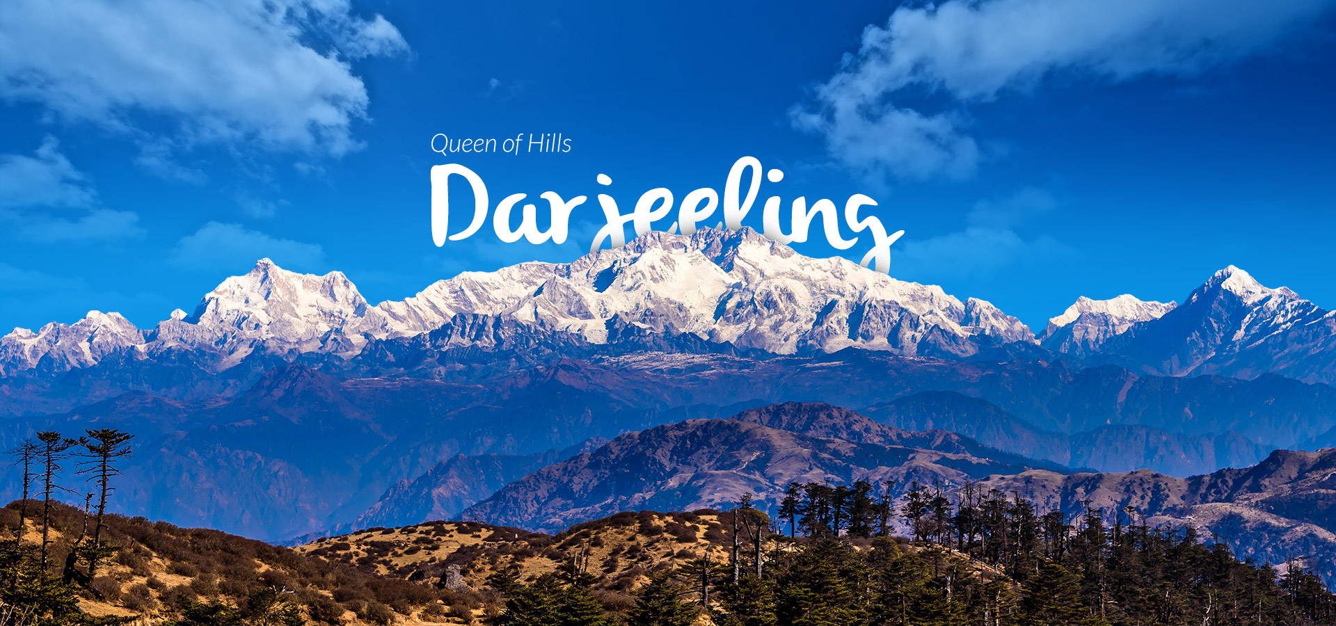 Prashad Tours & Travels