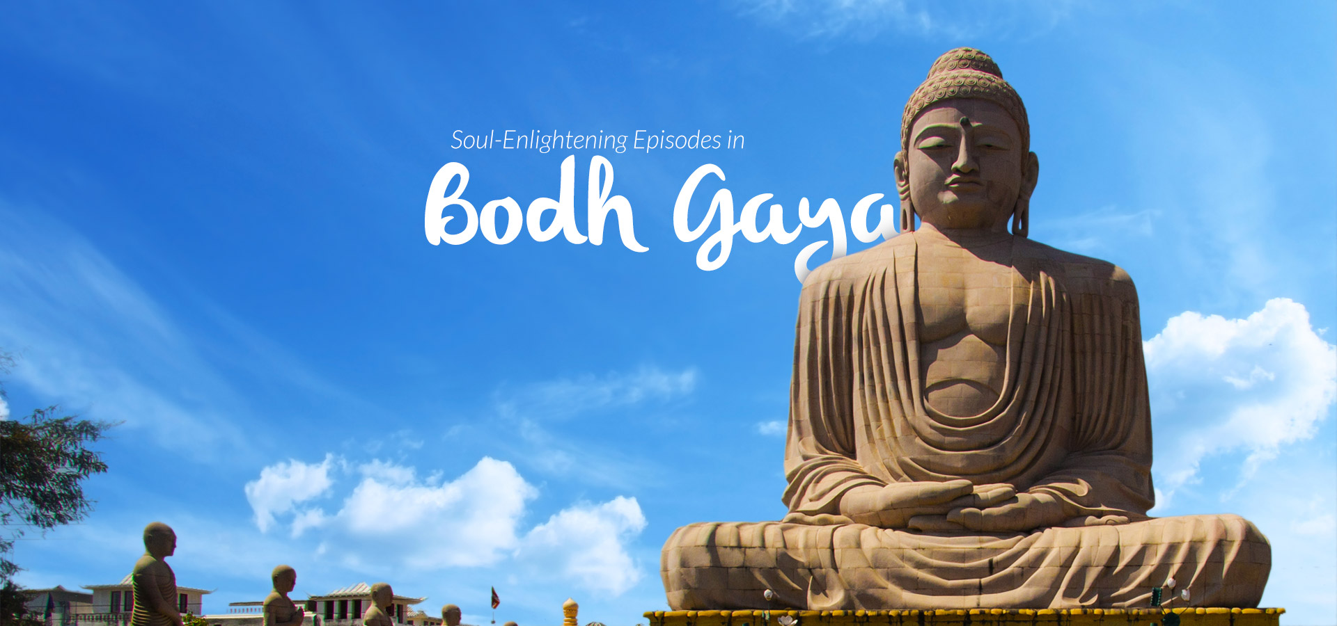 Prashad Tours & Travels